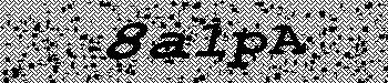 An error has occurred while getting captcha image